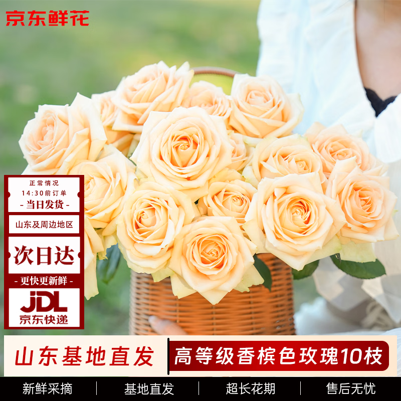 京东鲜花玫瑰花【蜜桃雪山】10枝枝长50-55cm鲜切花礼品花束基地源头直发