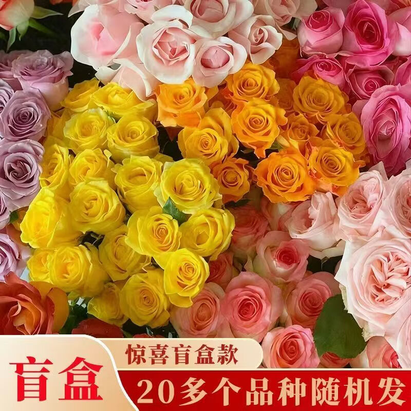 �뻨ͬ�� ��ͷõ�� ��ɫ�ű�õ�� 5֦ 10-15������ ����ֱ�� 35-45cm 9.9Ԫ