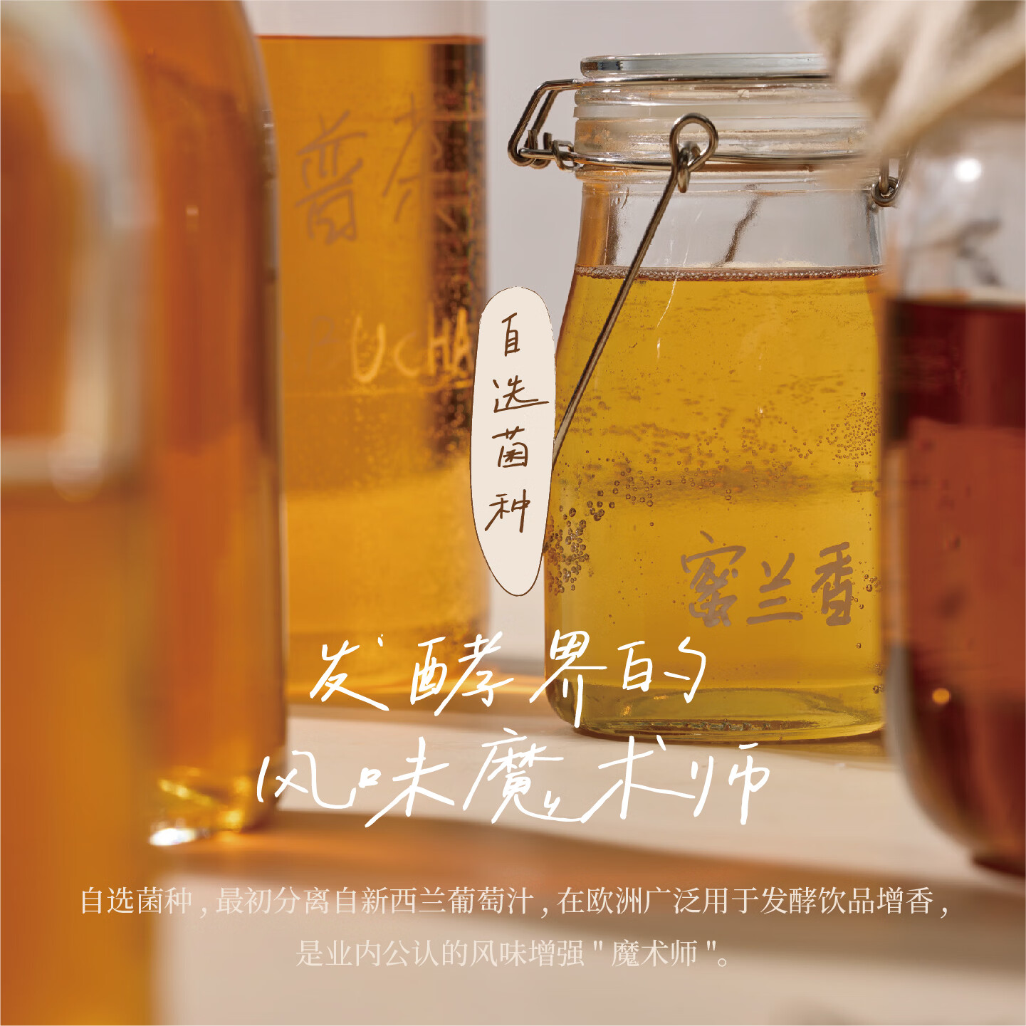 好望水康普茶蜜兰香单丛乌龙茶饮料气泡饮发酵玻璃瓶 蜜兰香单丛茶康普茶气泡饮300ml*6