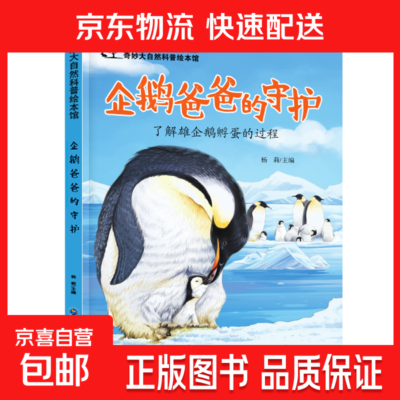 儿童科普绘本启蒙书籍3-6-8岁奇妙大自然幼儿园课外阅读百科全书 企鹅爸爸的守护 无规格