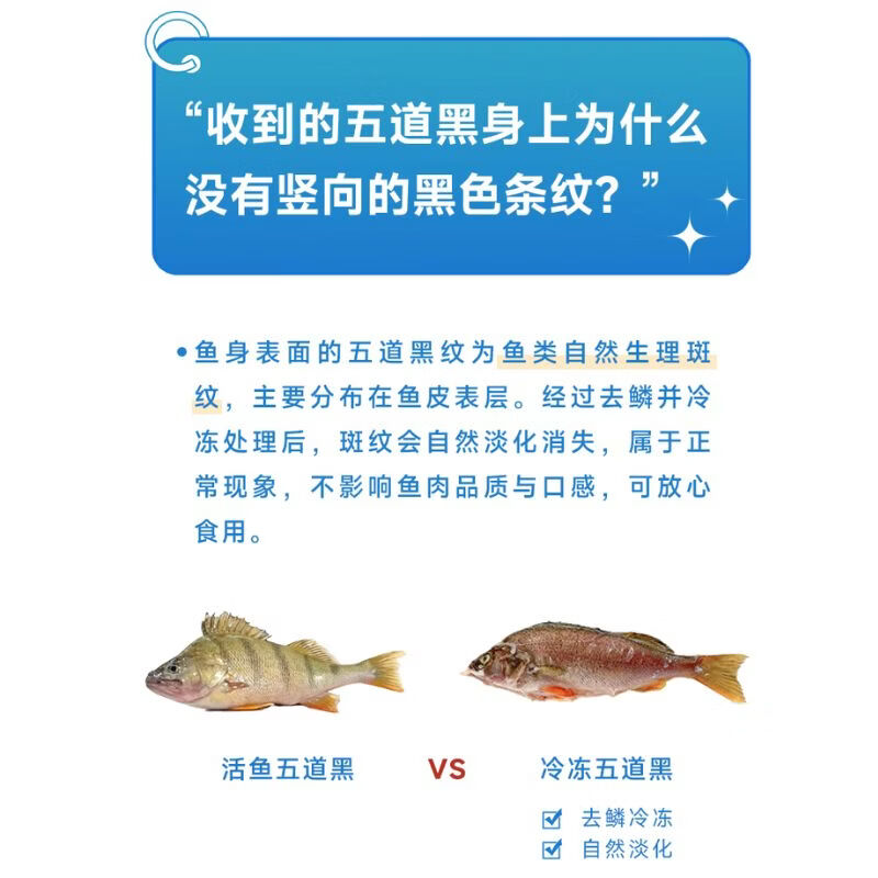 昆仑纪新疆鱼五道黑雪鲈鱼混合装无抗淡水鲈鱼整条装速冻锁鲜顺丰发货 【混装】【雪鲈鱼+五道黑 各1条 总重约1kg】