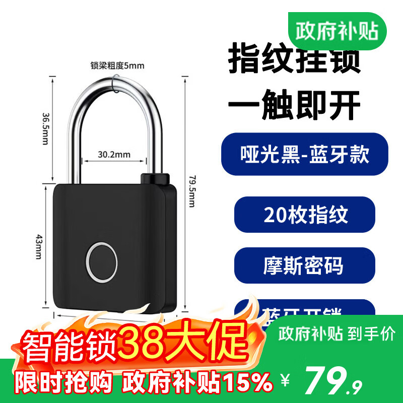 法雷斯顿 FALEISTON智能电子锁指纹挂锁家用小锁头抽屉锁学生寝室宿舍柜门储物防盗锁 哑光黑-蓝牙款