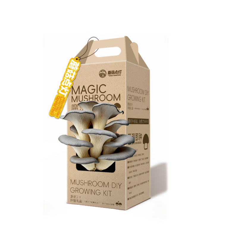 河南蘑菇点灯蘑菇种植包 儿童种植家庭种植 亲子趣味菌菇盲盒