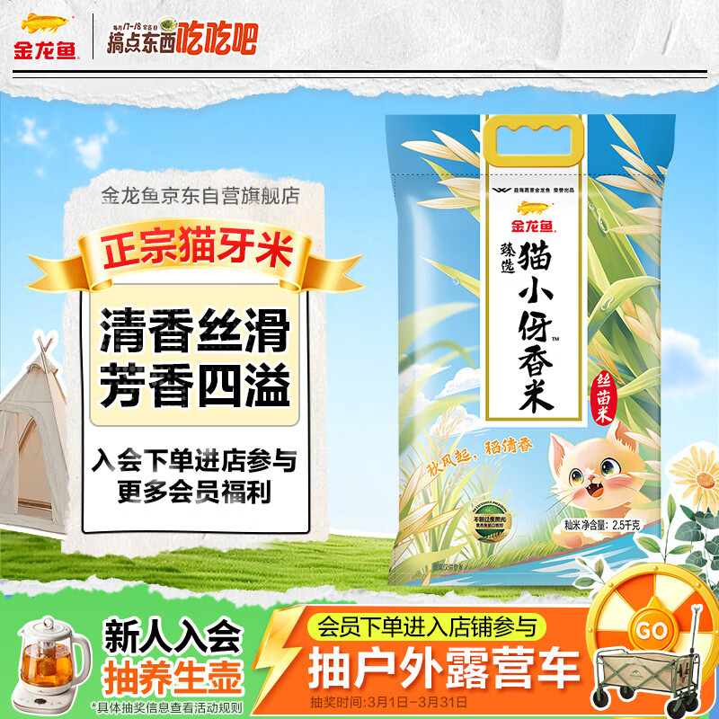 金龙鱼 猫牙米 长粒米 丝苗米 臻选猫牙香丝米 5斤