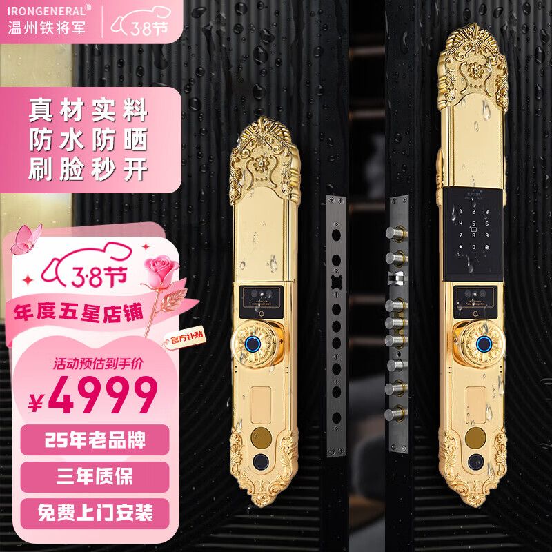 IRONGENERAL铁将军3D人脸识别别墅防水智能锁欧式双开门大门指纹锁室外电子锁 24k真金-双开