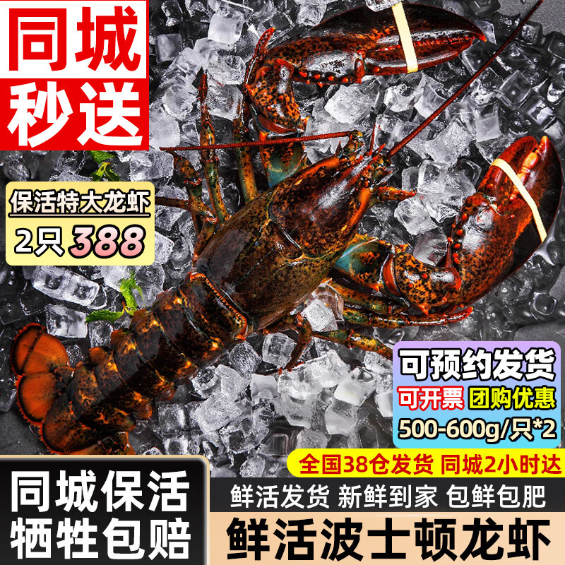 ���ڲ��������ɽ򡾻��ʡ���ʿ����Ϻ�ʻ�� ����Ϻ�ʻ�Ϻ����д�Ϻ������ 500-600g ����*2ֻ���ء����ͱ�� 388Ԫ