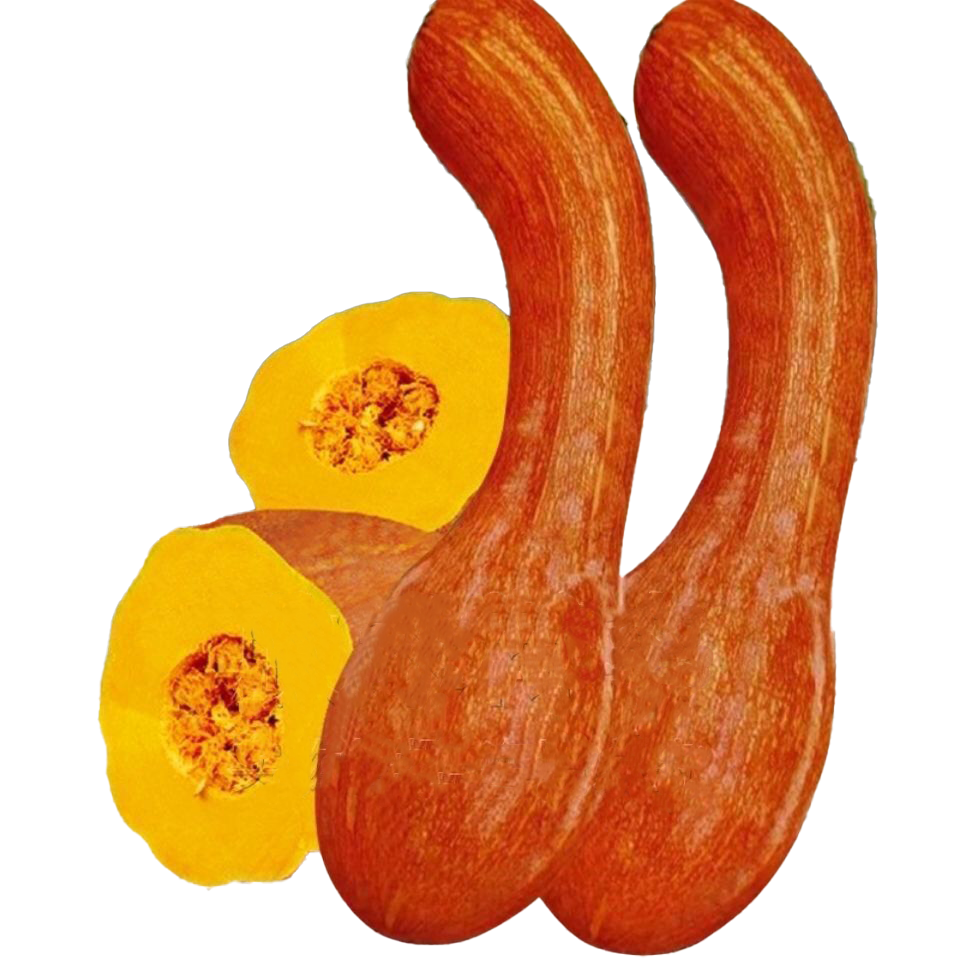 �������� ���Ϲ����ӳ���Ŵ�߲��ļ������߲��� ���Ϲ����� ����ѡ ��������Լ40�� 1.29Ԫ