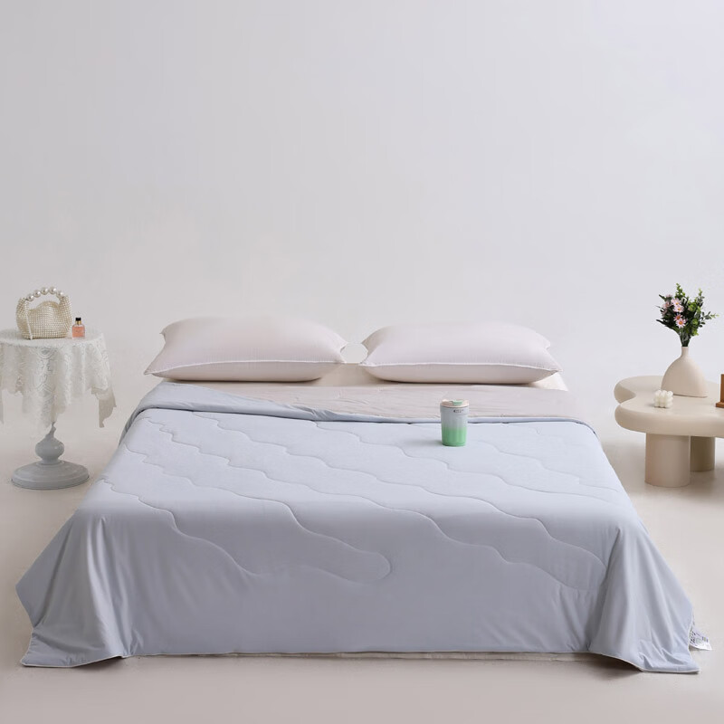 水星家纺夏季被子空调被夏凉被春夏新款大豆被单双人床上用品 雾凇蓝+幻影灰 200*230cm单夏被