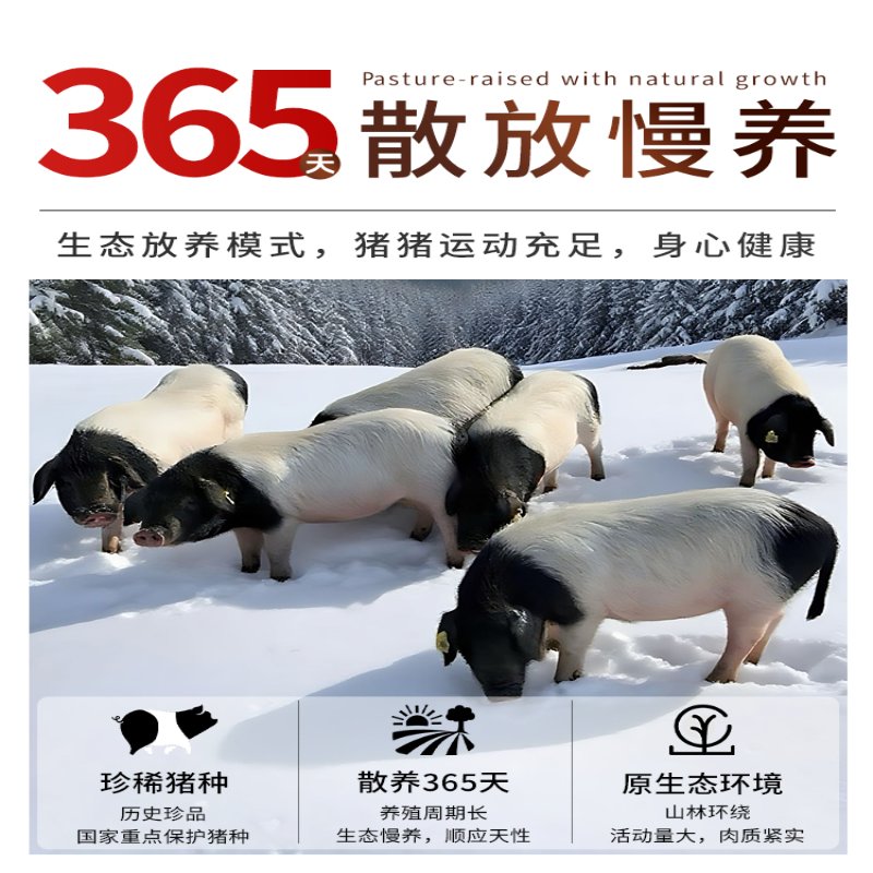 嘉平月两头乌跑山猪新鲜黑猪肉生鲜农家散养土猪里脊前后腿肉包饺子肉馅 肉馅2000g【包子饺子专用】