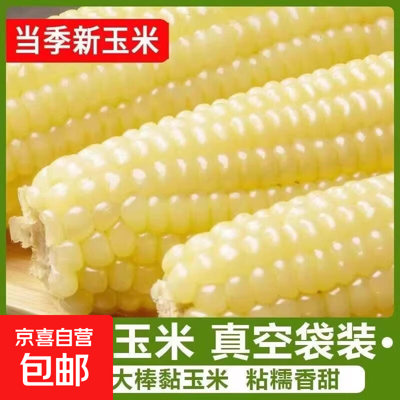 2025新货白糯玉米10棒真空包装非即食早餐代餐低脂轻食粗粮现采摘 白糯玉米4根*220g (单根均重220g)