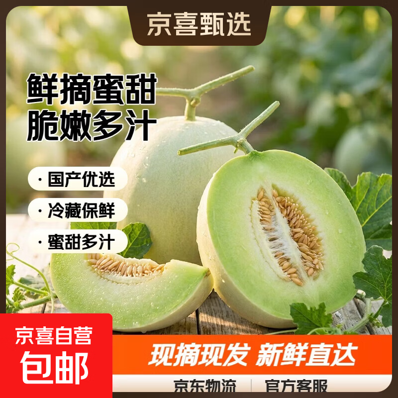 玉菇甜瓜新鲜脆甜现摘现发新鲜蜜甜甜瓜整箱 玉菇带箱1.5-2斤