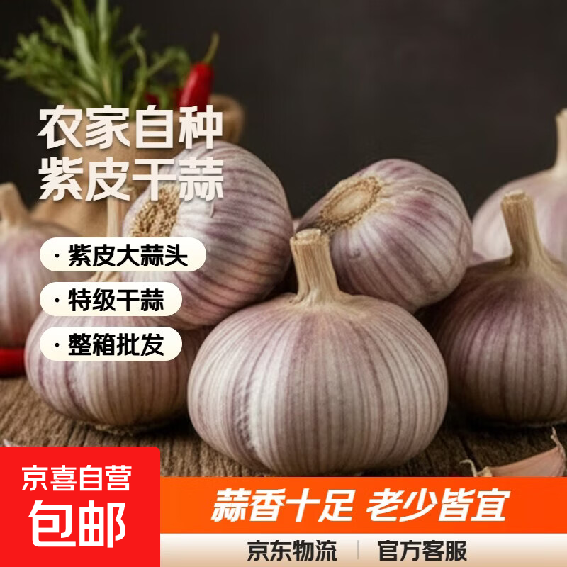 【东东买菜】金乡新干蒜大蒜头特级紫皮新干蒜新鲜干大蒜整箱批发 【优选】1斤 5.0-5.5公分500g