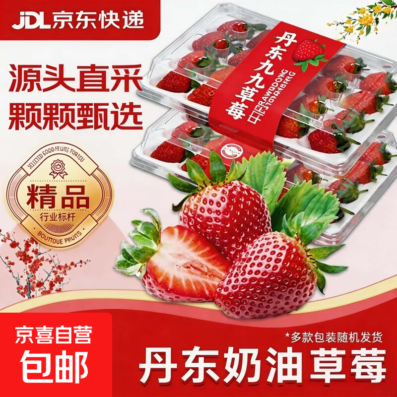 红颜草莓99牛奶油草莓【多地次日达】草莓水果礼品盒京顶鲜 丹东直发2盒礼箱装【时令尝鲜】 单盒净重200g-300g【单果13g+】