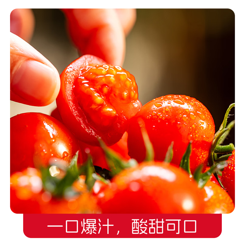 一柿缘串番茄串收樱桃小番茄西红柿新鲜自然熟老味道孕妇生吃柿子 顺丰 精品樱桃串番茄 黄*1箱 1kg 礼盒装