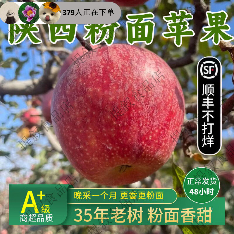 陕秦冠粉面苹果鲜老人小孩婴儿宝宝刮果泥吃喜欢吃的10斤整箱 1罐箱 75mm80mm4点55斤中果装约12个