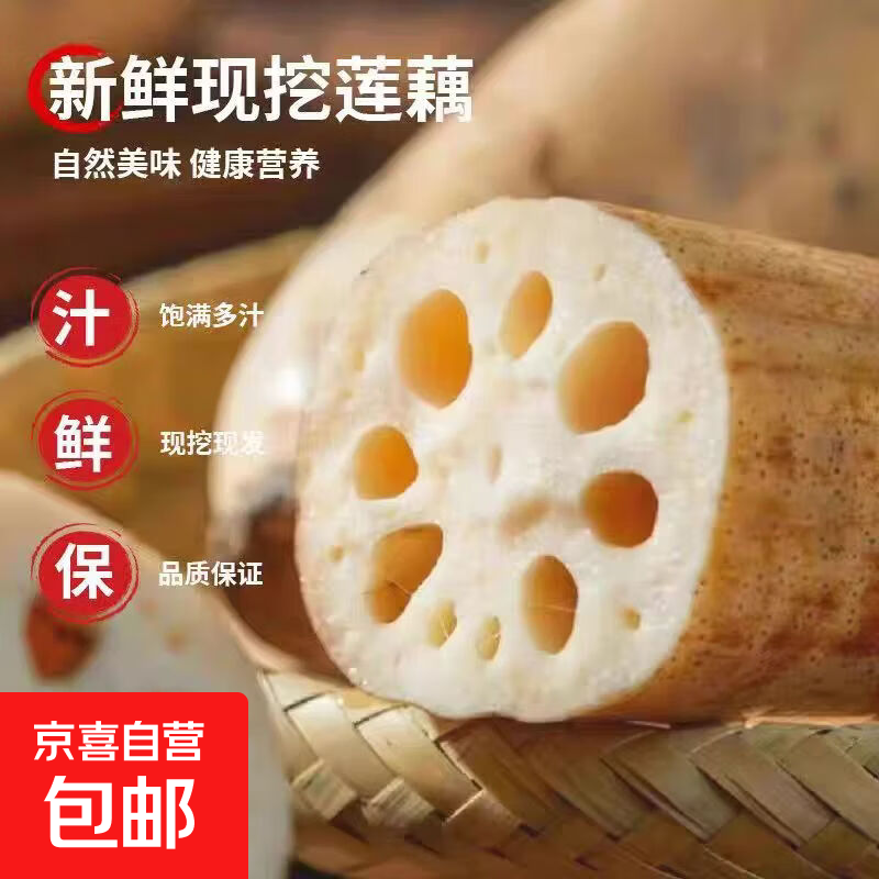 【春日尝鲜】新鲜莲藕农家自种当季水果鲜藕超市买菜蔬菜快递包邮 精品莲藕-1斤 净重