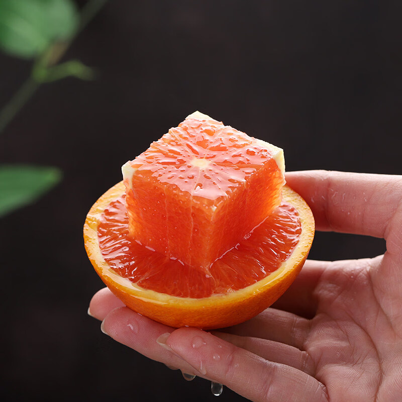 秭归原产中华红血橙 5斤中小果