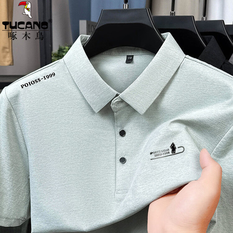 啄木鸟（TUCANO）酷丝棉短袖t恤��2026夏季新款上衣翻领男士半袖polo衫中年爸爸装 浅绿色 4XL (190) 推荐180-200斤