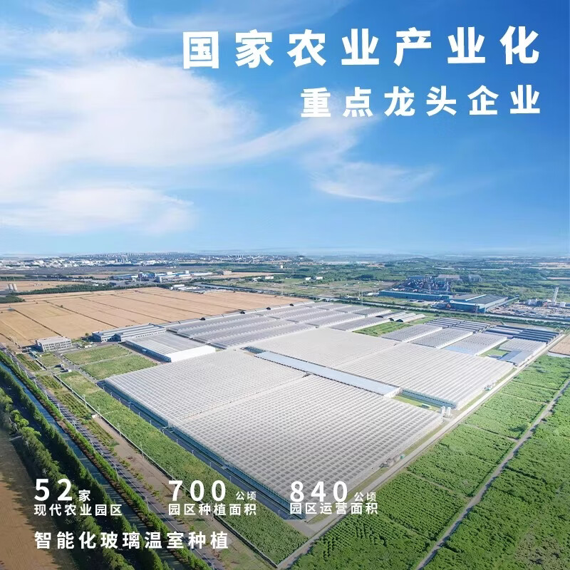 一柿缘串番茄串收樱桃小番茄西红柿新鲜自然熟老味道孕妇生吃柿子 顺丰 精品樱桃串番茄 黄*1箱 1kg 礼盒装