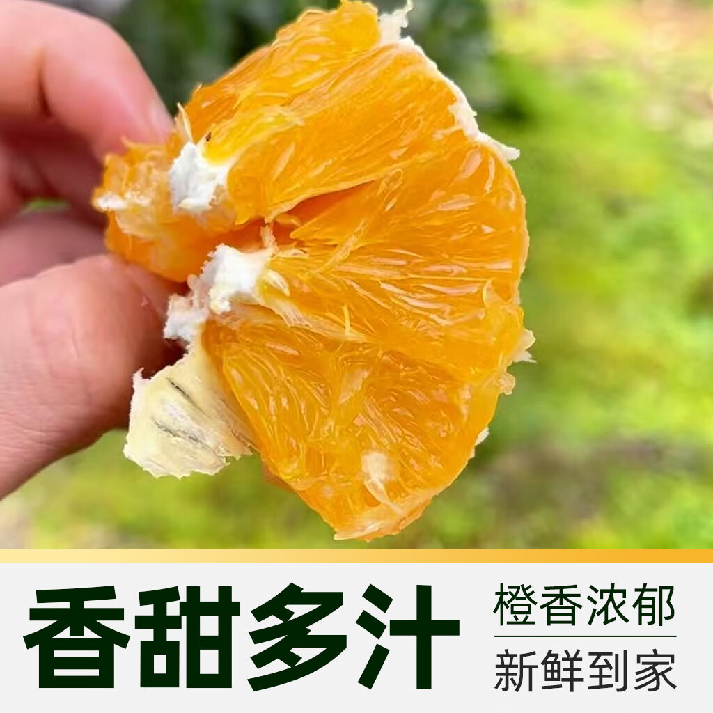 重庆奉节脐橙 新鲜水果 应季甜橙 生鲜 重庆特产 产地现摘直发 带箱10斤 70-75mm 果径70mm-75mm