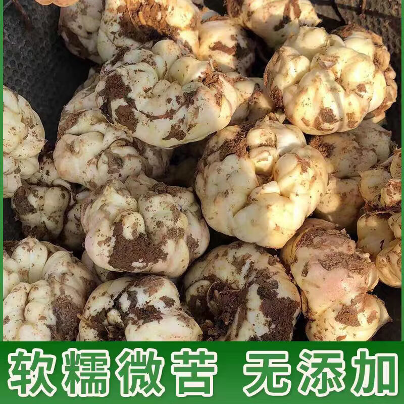 宜兴鲜百合 水果蔬菜25年食用百合新鲜 微苦 卷丹百合产地直发 两斤（每斤3个左右）