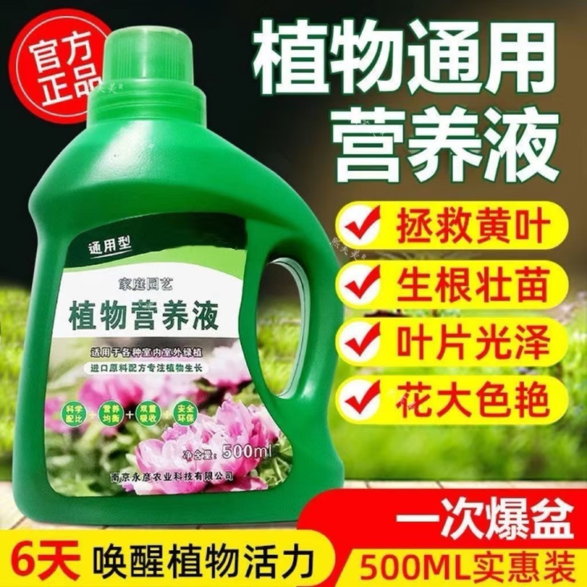 养花营养液通用浓缩型绿箩植物水培观音竹富贵竹土养发财树肥 两瓶