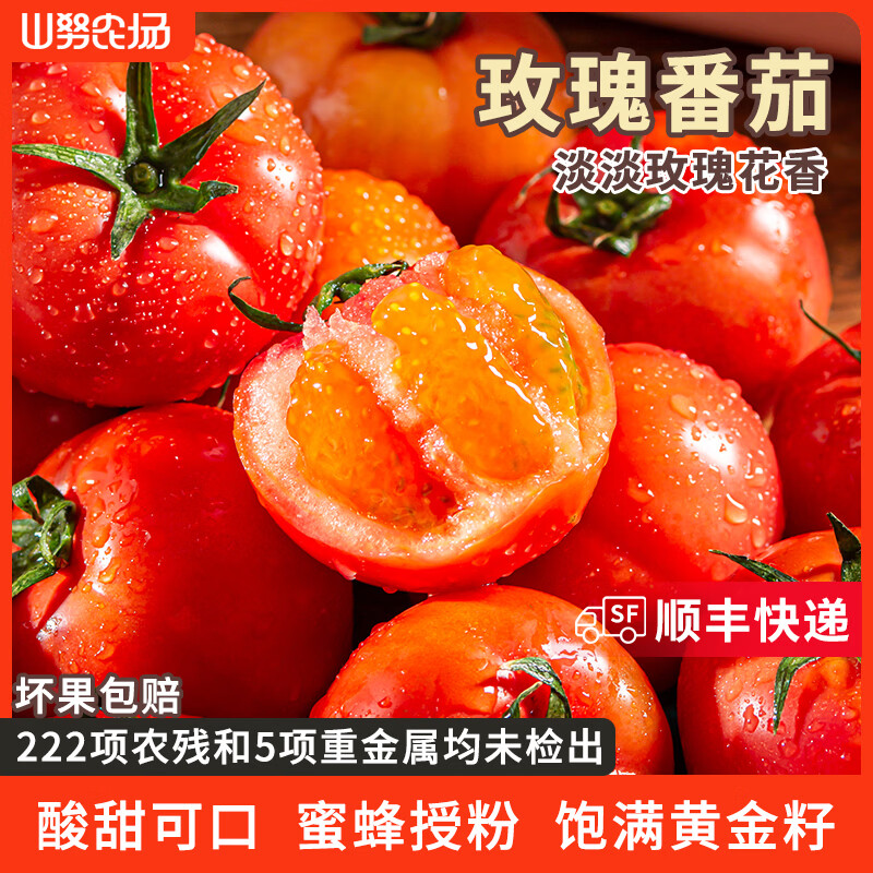 山努农场玫瑰番茄水果自然熟草莓西红柿多汁新鲜小柿子 玫瑰番茄大果 单颗70g+ 4斤