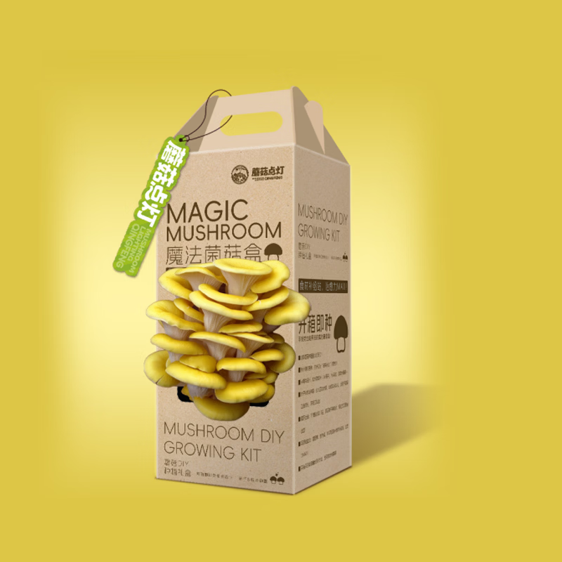 河南蘑菇点灯蘑菇种植包 儿童种植家庭种植 亲子趣味菌菇盲盒