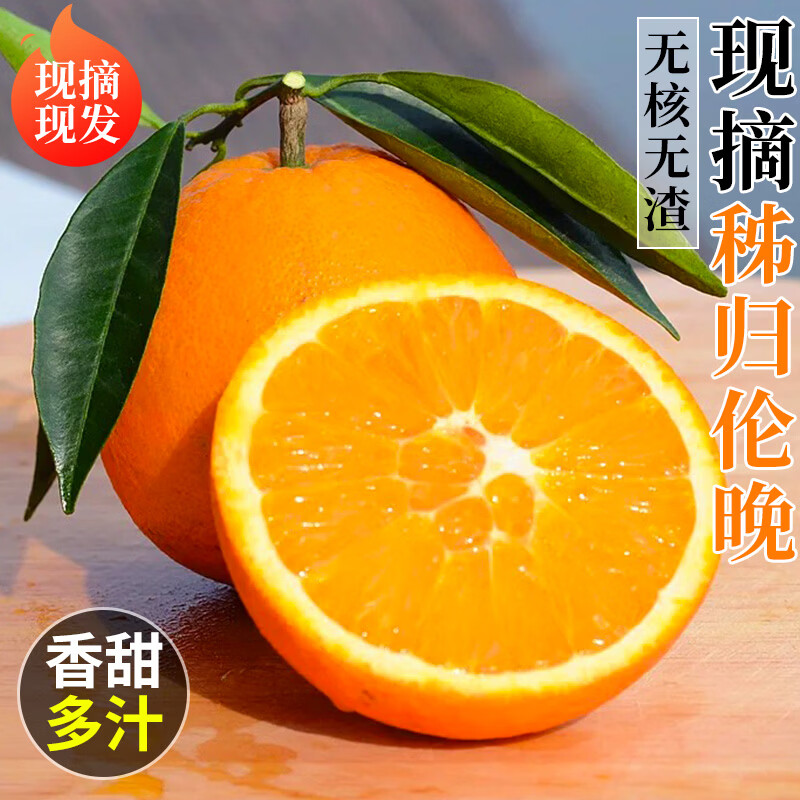 秭归伦晚春橙脐橙冰糖橙子果园直采精品当季新鲜水果大果破损包赔 果园直采-产地发货（果径70-75）净重9斤