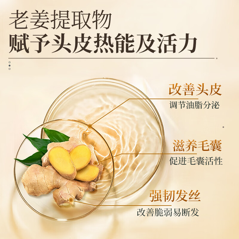 阿道夫(ADOLPH)天然成分洗发水香氛袪屑止痒洗发露持久留香 茶麸袪屑止痒洗发水350ml*2