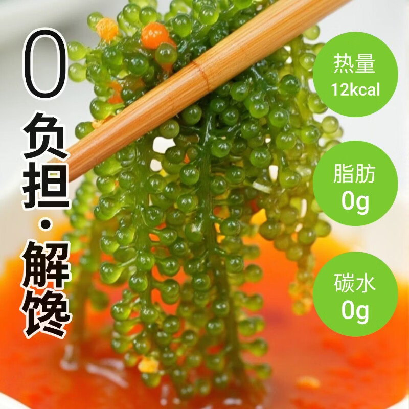 爱尚港【正宗海葡萄白袋装】爆珠盐渍儿童零食海藻海菜网红声控脆爽解压 海葡萄【送蘸料】固形物≥20％ 【凉拌菜】盐渍海葡萄100g*5【送6种口味蘸料】