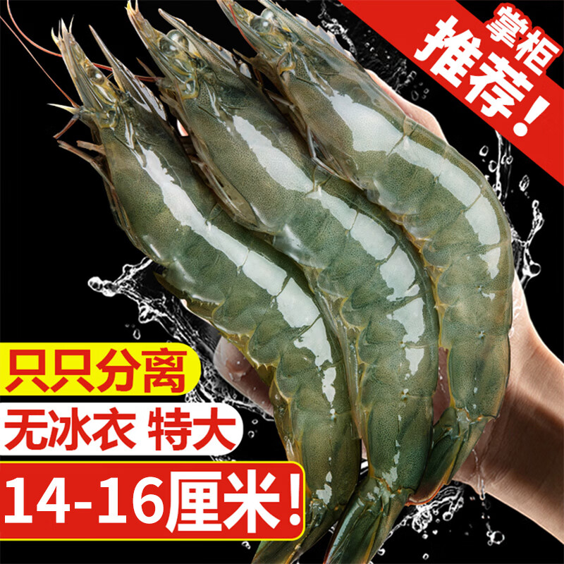 龙味福 虾南美厄瓜多尔白虾特大虾青虾海捕基围对虾冰虾冻虾海鲜水产 【中号无冰】14-16cm 3斤(净重)  【无冰】单只冻