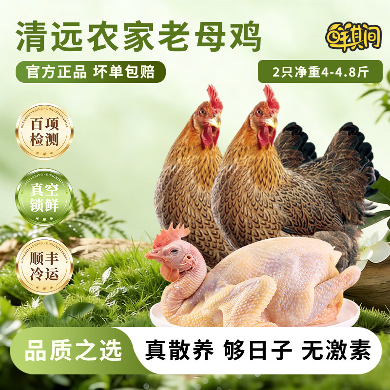鲜其间【正宗清远鸡】老母鸡土鸡农家散养走地鸡项整只新鲜现杀黄油 老母鸡【二只2-2.4斤净重】深山散养/杂粮喂养自然香 京东冷链配送/深山散养365天/坏单包赔售后稳 京东折扣/优惠券