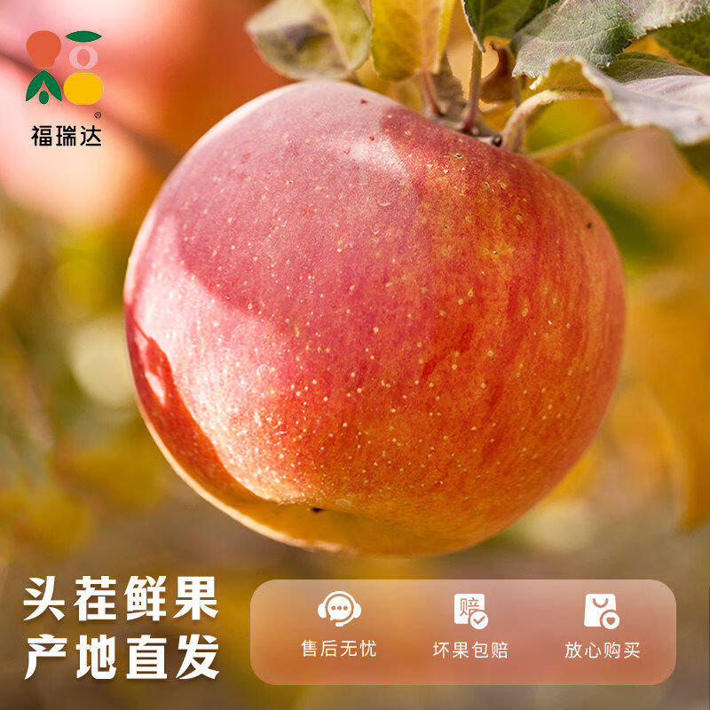 福瑞达正宗红富士苹果现摘冰糖心鲜水果应当季10斤脆甜山丑萍果整箱 3斤 70mm含75mm不含丨中果
