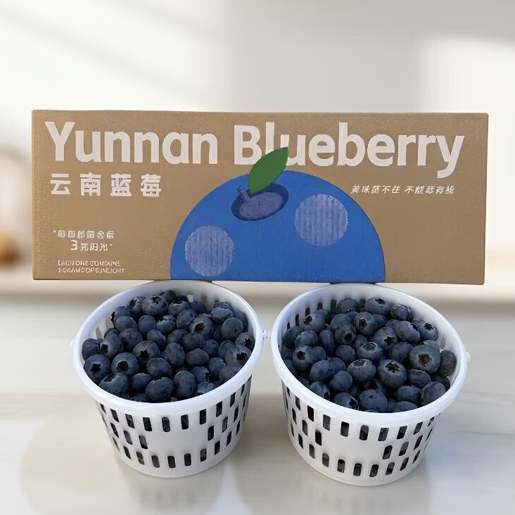 云南澄江抚仙湖花香蓝莓L25蓝莓脆甜天花板 特大果源头空运次日达 L25花香蓝莓400g*2桶装净重1.6斤+顺丰空运 中果15mm+