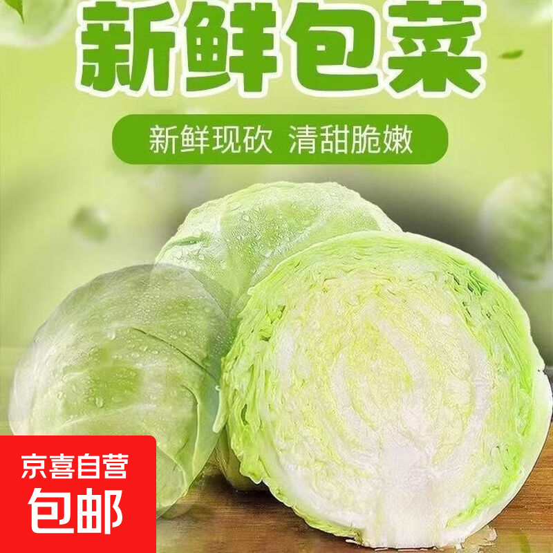 现摘云南新鲜包菜卷心菜绿甘蓝莲花白脆嫩沙拉菜时令蔬菜批发包邮 1.5-2斤带箱