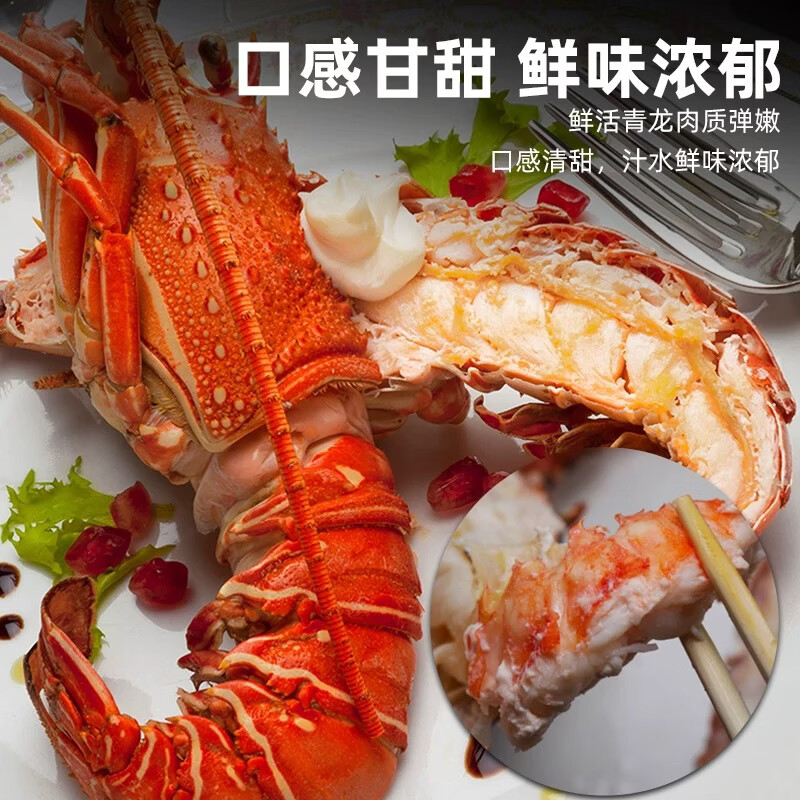 新鲜小青龙虾生冻鲜活冷冻冰鲜青龙肉质饱满澳洲特产小青龙非奥龙 迷你小青龙【20g/只】*1只