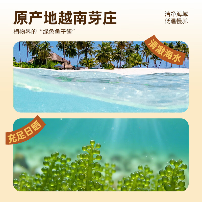 【海葡萄蓝盒装300g】盐渍海藻海带裙带菜儿童零食爆珠脆爽解压 海葡萄3盒装【送多种蘸料】固形物35％ 一盒3袋【送番茄 酱油 芥末蘸料】