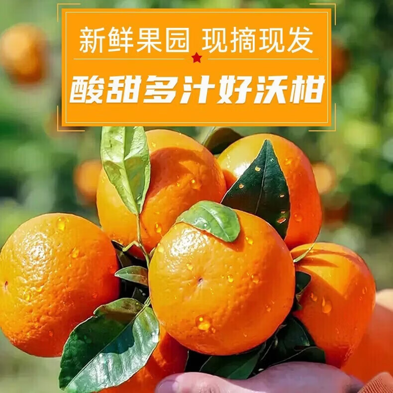 川家鲜四川高山沃柑 新鲜水果橘子礼盒爆甜沃柑  产地直发 尝鲜中果60mm+净果3斤