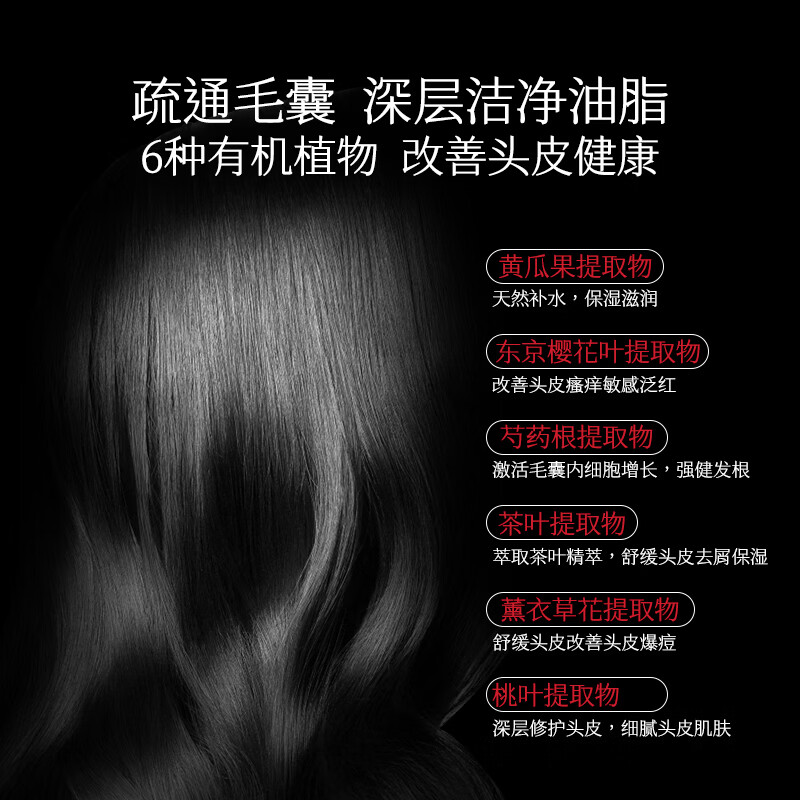 爱德兰丝头皮磨砂膏 深度清洁舒缓毛囊控油去屑蓬松洗发水洗头膏露男女士 头皮磨砂膏200g