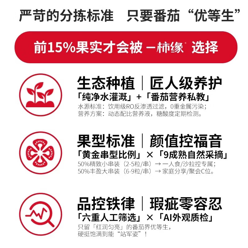 一柿缘串番茄串收樱桃小番茄西红柿新鲜自然熟老味道孕妇生吃柿子 顺丰 精品樱桃串番茄 黄*1箱 1kg 礼盒装