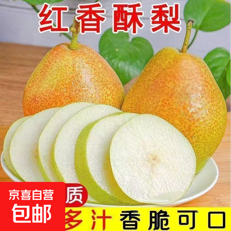 京喜加新鲜红香酥河北红香酥小香梨酥脆远达新11 红香酥带箱9斤大果净重8.2斤单果100g