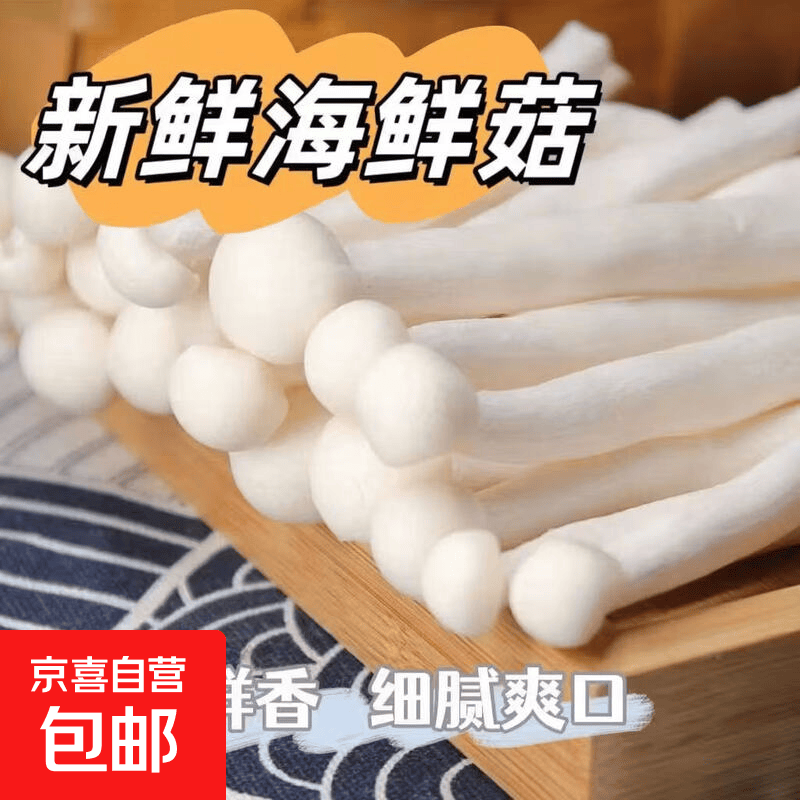 【东东买菜】新鲜白玉菇现摘现发海鲜菇食用菌菇蔬菜火锅配菜食材 现采现发（鲜嫩海鲜菇） 净重100克