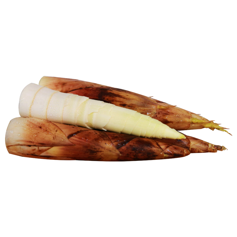 京鲜生临安天目春笋新鲜雷笋现挖现发  中笋5斤（15-30根）  源头直发