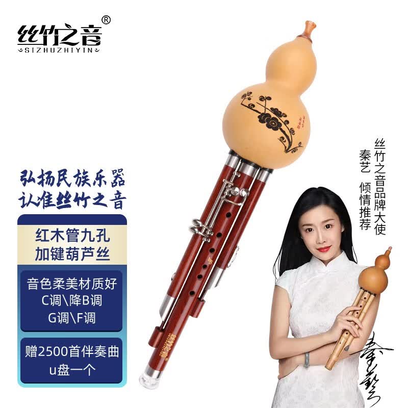丝竹之音葫芦丝通用红木乌木管九孔加键云南民族吹奏乐器专业演奏型