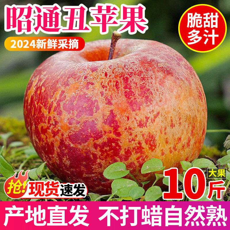 探味君云南昭通丑苹果10斤正宗冰糖心苹果应当季鲜水果红富士萍果整箱 3斤 65mm含70mm不含