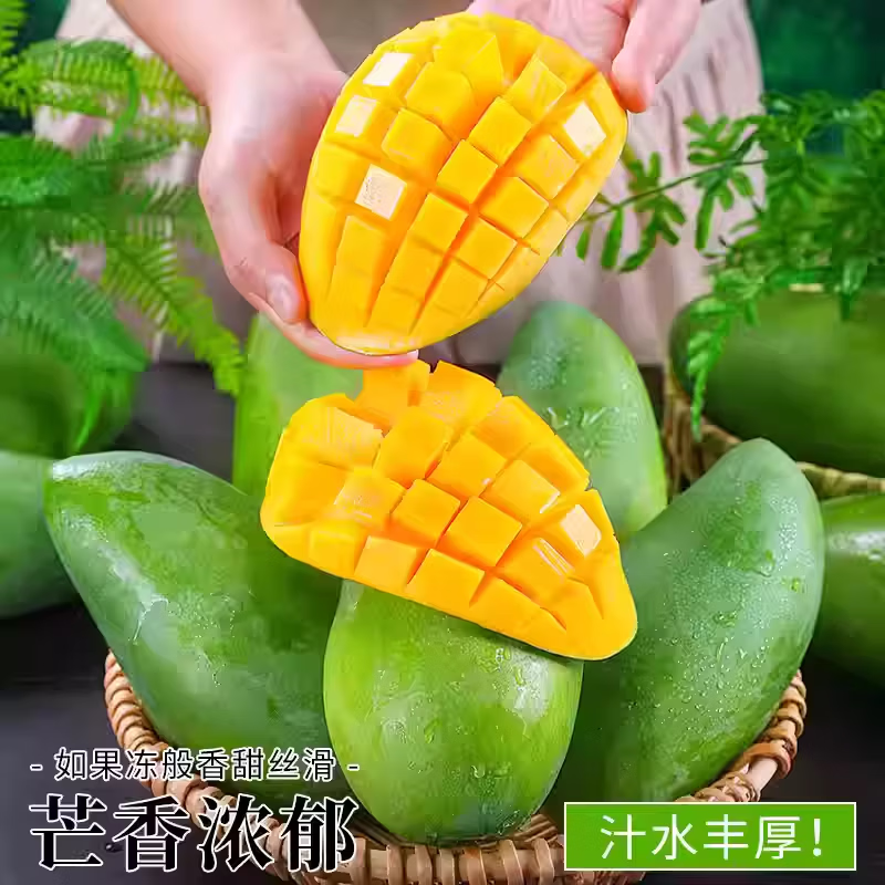 果领队正宗青皮金煌芒现摘青皮金煌【当天发货】甜心大芒果当季孕妇水果 5斤【单果250g+】净重4.5斤