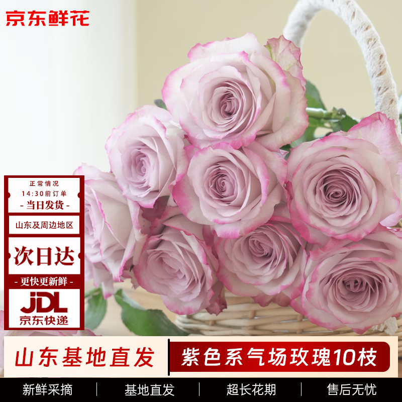 京东鲜花【气场】玫瑰花10枝40cm如意基地鲜切花插花生活花束送礼源头直发