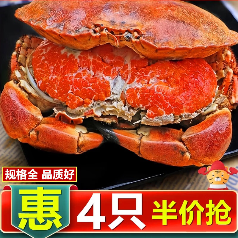 新鲜大面包蟹爱尔兰进口鲜活熟冻母蟹黄满超大黄金蟹螃蟹大皇帝蟹 老虎蟹【60-100g/只】*4只 京东折扣/优惠券