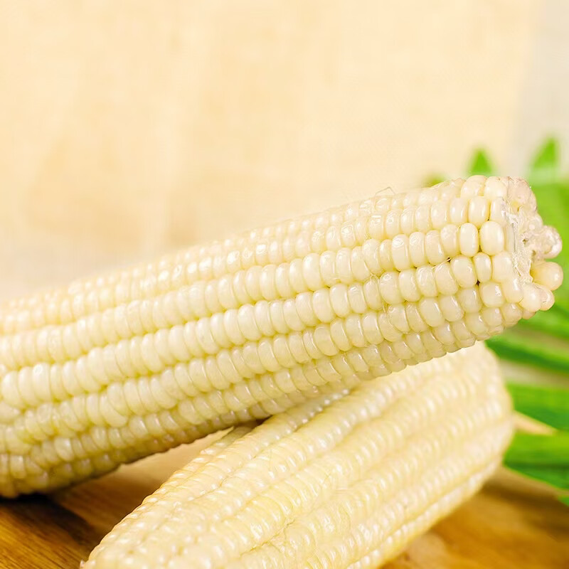 芸芸致实甜加糯东北白糯玉米农科糯336品种280-330g非转基因玉米棒粗粮 十棒